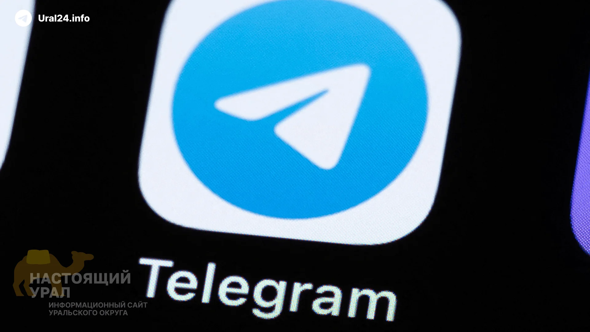 Власть не&nbsp;рискнула блокировать Telegram 