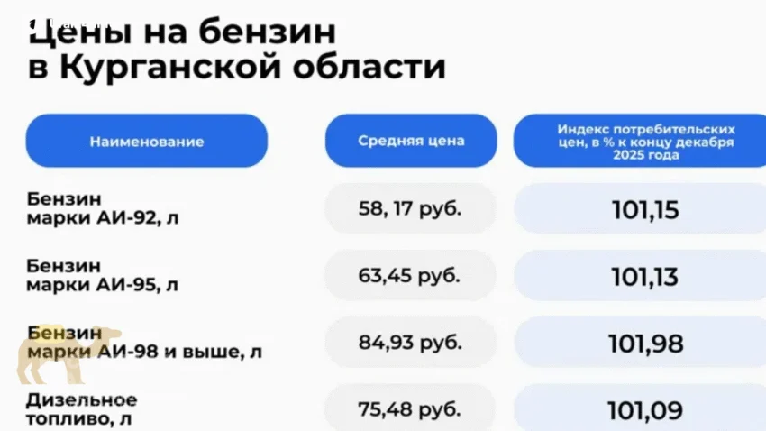 В&nbsp;Кургане резко выросли цены на&nbsp;топливо