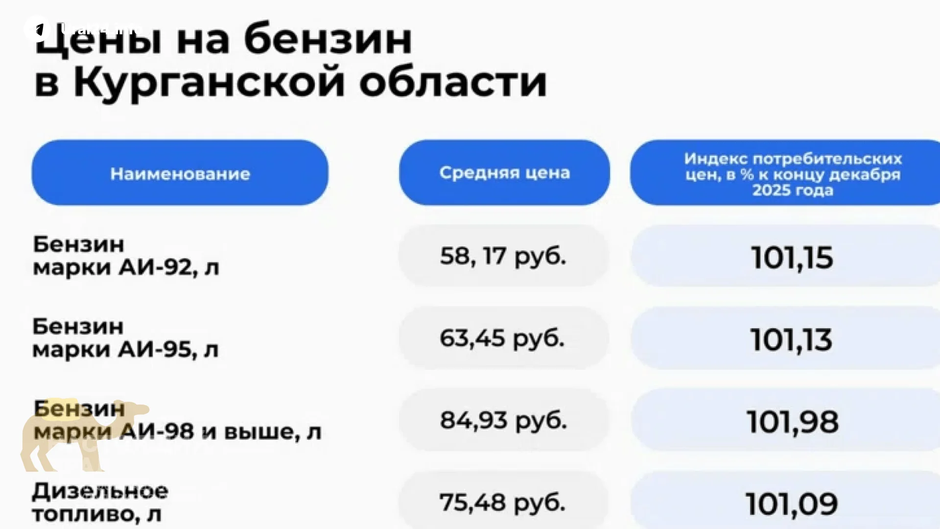 В&nbsp;Кургане резко выросли цены на&nbsp;топливо