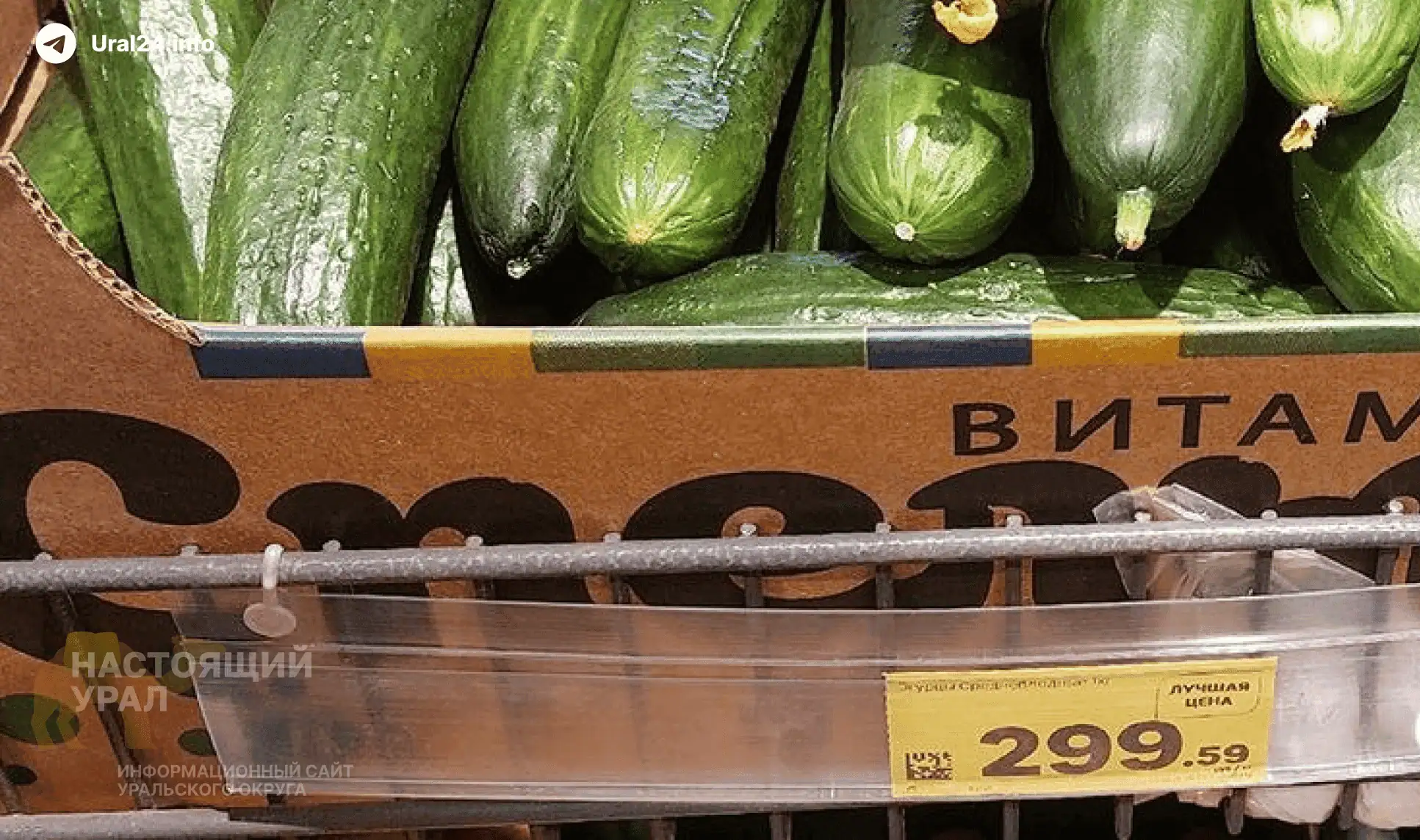В&nbsp;Кургане сокращается производство продуктов питания
