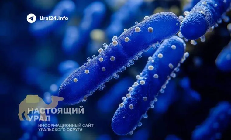 Тюменцев поили водой с опасными бактериями