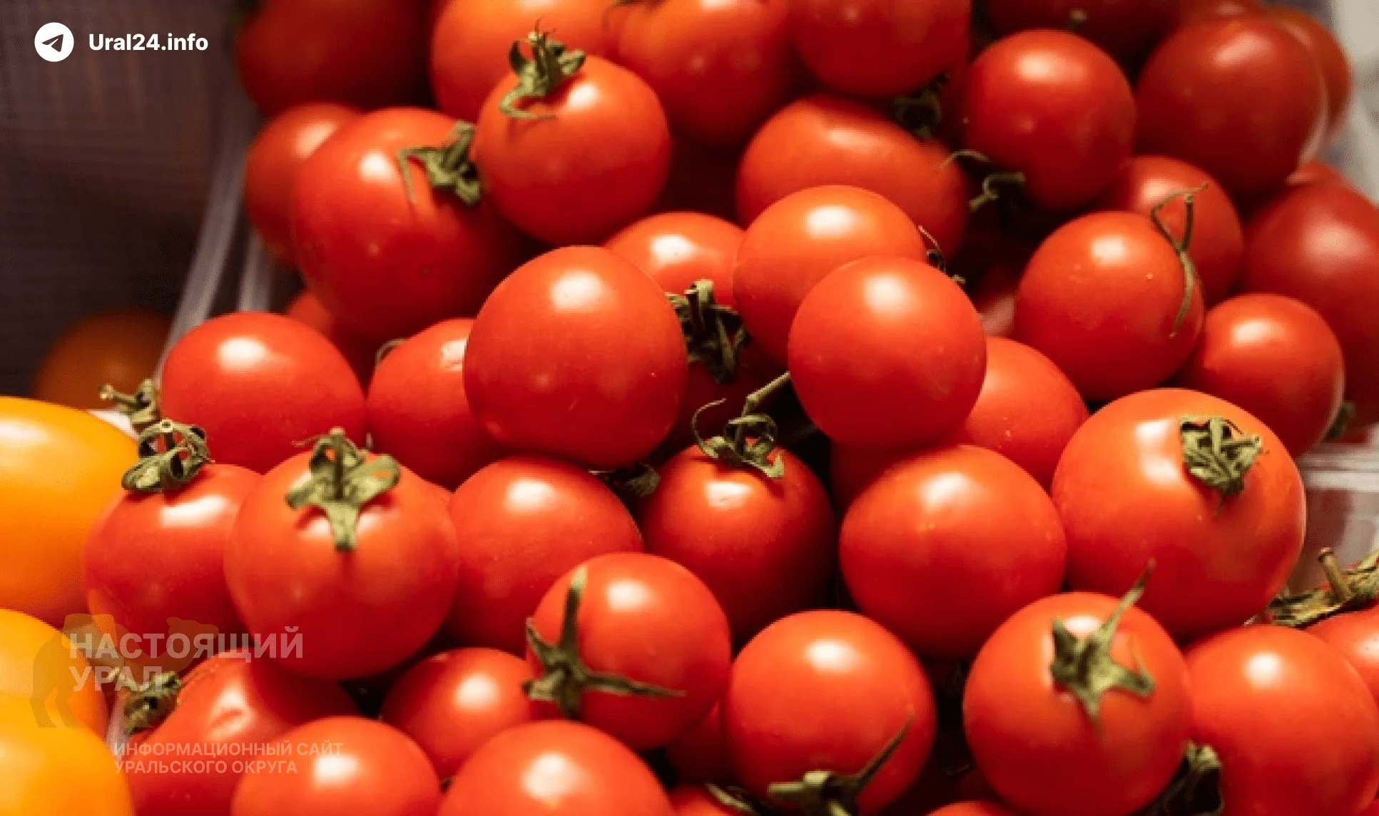 Цены&nbsp;— европейские, зарплаты&nbsp;— уральские