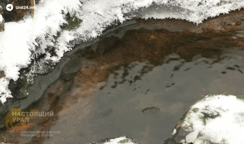 Челябинское село тонет в&nbsp;фекалиях