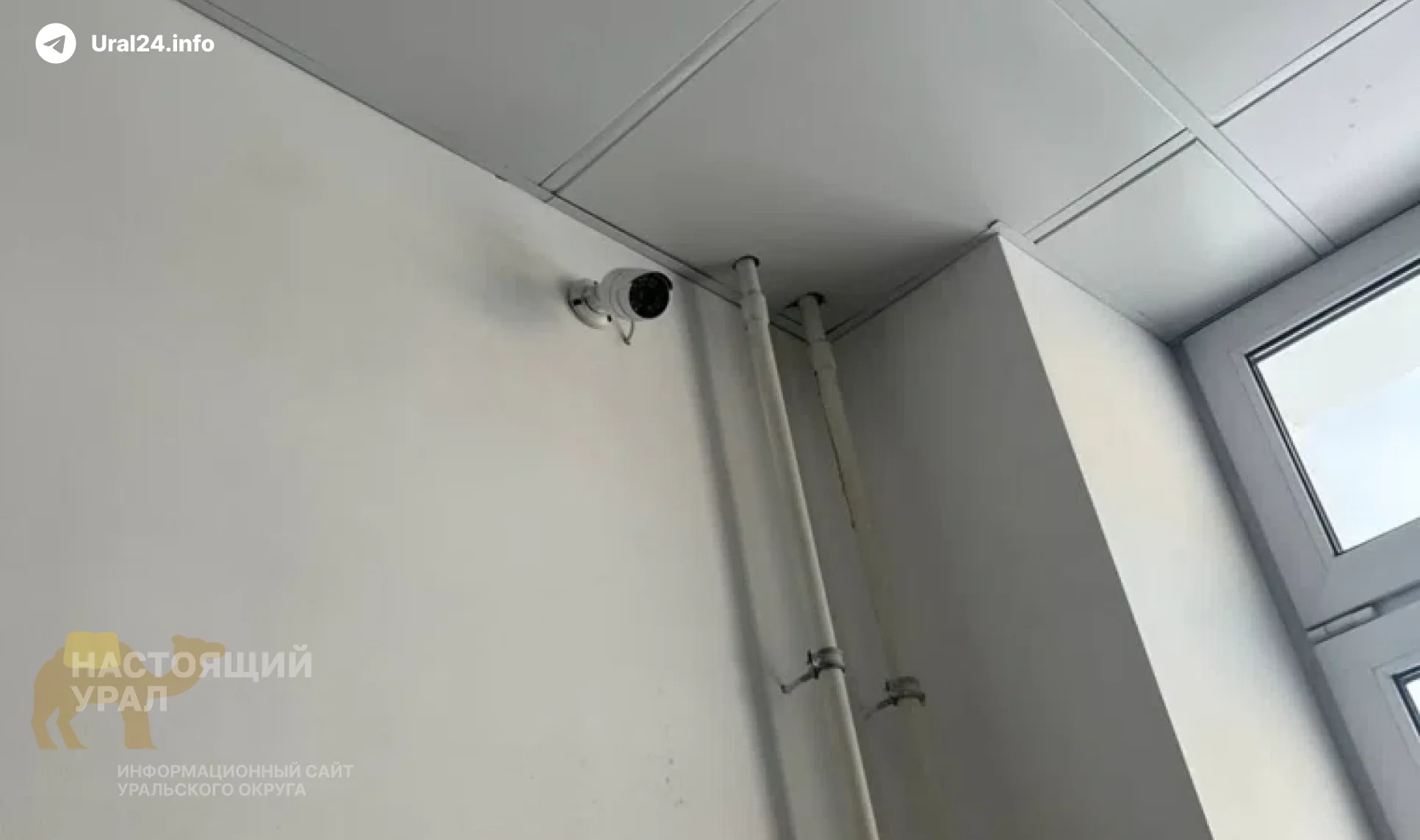 В&nbsp;туалете для&nbsp;девочек установили камеру